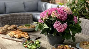 West Kensington Flat with Private Garden - Image 4