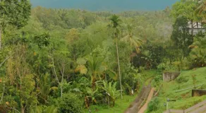 The living glamping and homestay - Image 3