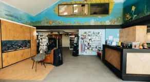 Duikresort Sub Ocean Hotel - Image 4