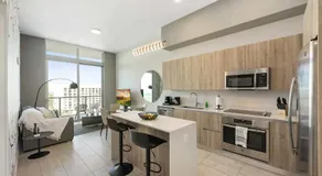 Luxury NEW Condo in Miami Midtown / Design District / Wynwood - Image 5