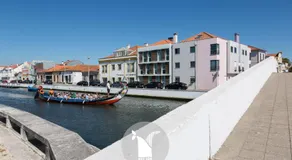 Aveiro Ria View Moliceiros - Image 4