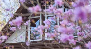 Yatsugatake HACHI - 八ヶ岳 ハチ - - Image 3