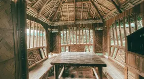 The Apiary Mountain Camp and Farm - Image 3
