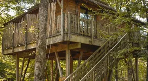 cabanes perchees dans les arbres - Image 4