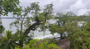 Hotel Vista Coral - Image 5