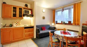 SKI - Apartment - Image 2