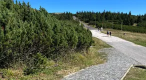 Výrovka - Image 4