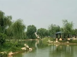 Liaocheng Arcadia International Hotspring Hotel - Image 5
