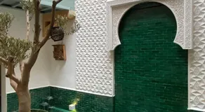 Riad Fontaine Arabe Privatisation - Image 5