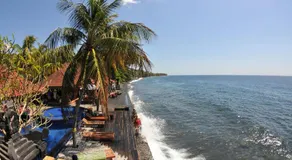 Paradise Palm Beach Bungalows and Dive Center - Image 5