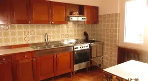 5 Palme - Image 4