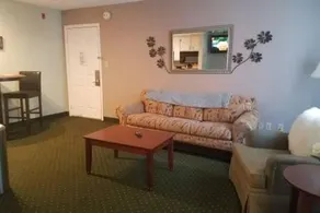 416 Great Value at Parkway Palms - Image 3
