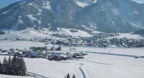 Apartment Austria - Image 5