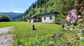 Camp ŠMICA - Image 5