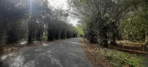 Ekantam - Image 3