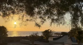 Cali - Image 4