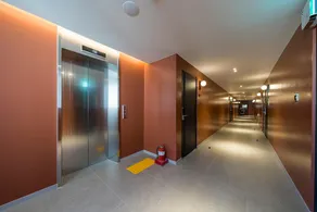 Ulsan Jinha Brown Dot Jinha Beach Branch - Image 4