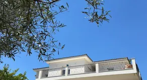 Horizon House, with Olive Grove and a small Vineyard - Image 3
