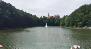 POLANA - Image 5