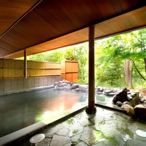 Azumino Hotaka View Hotel - Image 4