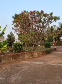 Bade Farms - Image 5
