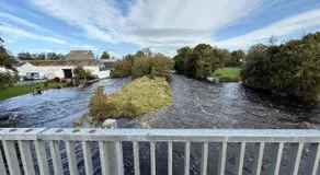 The Old Stomping Ground - Image 5