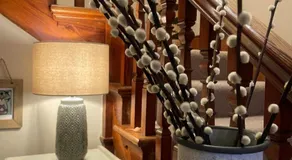 The Wild Boar Guest House - Image 5