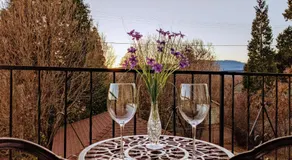 4 Elements House:Central, Views-Every Rm, AC, Pets - Image 3