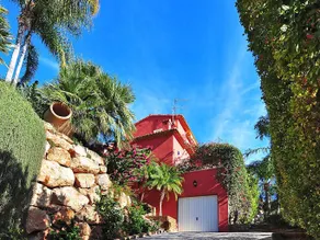 Aviles - Image 5