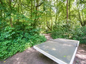 Holiday Home in Ulestraten with Forest - Image 4