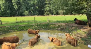 Farma Horní Paseky u Aše - Image 3