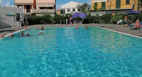 Stella marina - Image 5