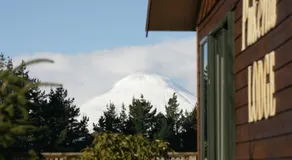Pukenui Lodge - Image 5