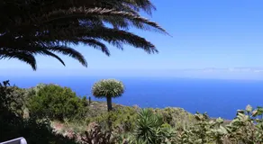 El Cortijo - Image 4