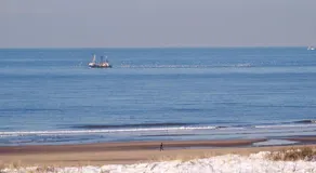 Dunes & Sea at Kijkduin - Image 5