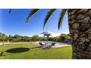Alghero, Villa Le Palme with swimming pool for 12 people - Image 4