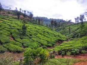 Nagasiri Homestay - Image 3