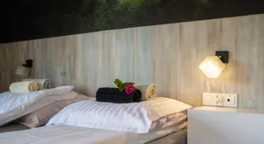 Cztery Sosny - noclegi Zasieki - Image 2