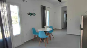 Papillon - Image 3
