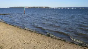 Driftwood - Image 2
