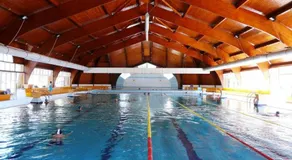 Tulipan Panzio - Image 3