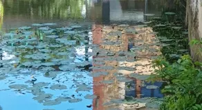 La maison au bord de l'eau - Image 5