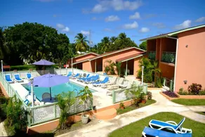 Halcyon Palm - Image 2