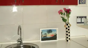 Sunny - Image 5