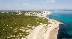 Llevant - Image 4