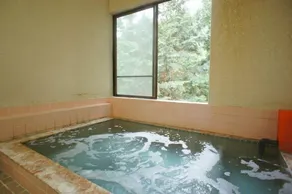 Sightseeing Inn Honjin - Image 4
