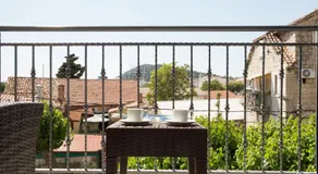 Morus Alba - Image 3