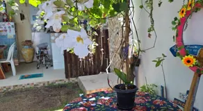 Flat Lagoa Azul - Image 4