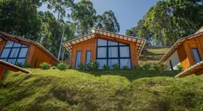 Villa di Madeira - Image 4