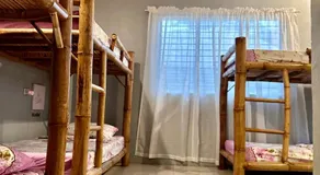 Lionfish Backpackers hostel - Image 2